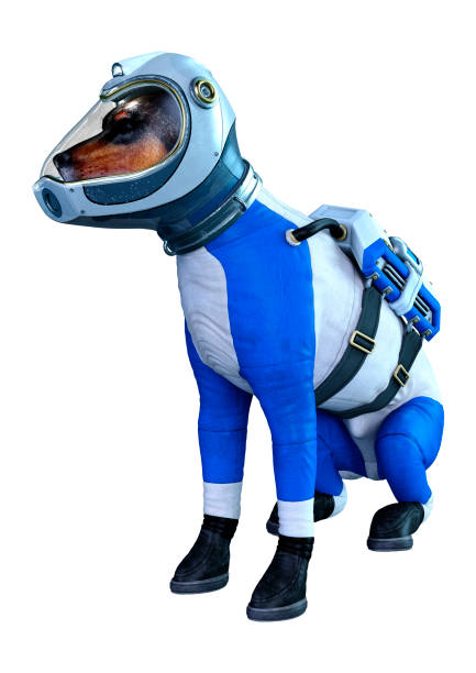 istock 3D illustration astronaut dog on white 1174642743