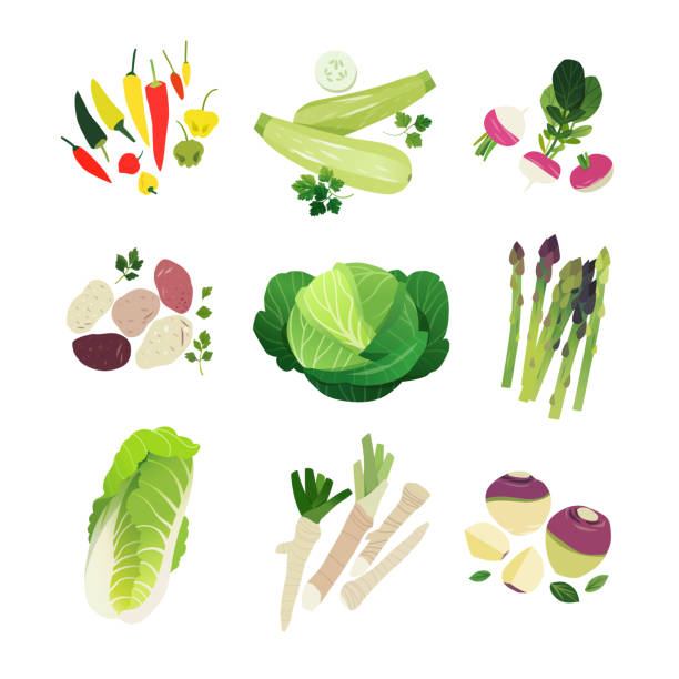 clipart set mit mini-gemüse-ikonen - turnip leaf vegetable green freshness stock-grafiken, -clipart, -cartoons und -symbole