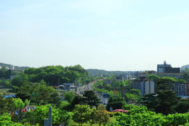 Yeoju in the green forest