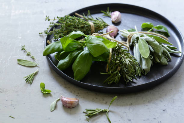 istock organic green fragrant herbs 1174644060