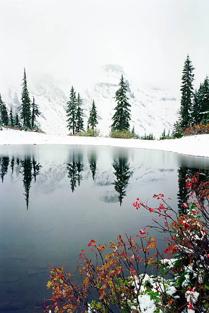 冬の風景 - north cascades national park glacier vertical photography ストックフォトと画像