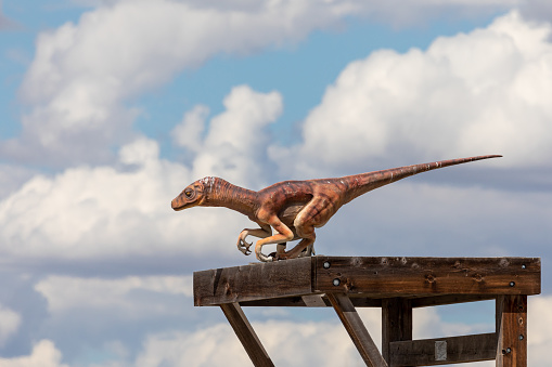 랩터 공룡 0명에 대한 스톡 사진 및 기타 이미지 - 0명, 공룡, 과거 - Istock