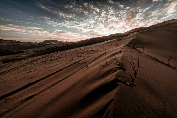 istock Dawn Contrasts at the Badain Jaran Desert 1174645225