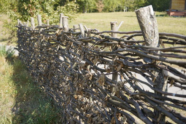 istock Old wooden fence made of tree branches. 1174646277