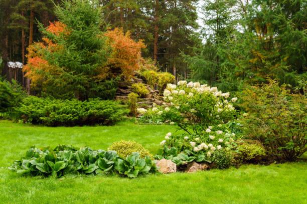 landscaped lawn of plants and artificial rocks lawn in the park with landscaping from various ornamental plants, flowers and artificial rocks fall lawn stock pictures, royalty-free photos & images