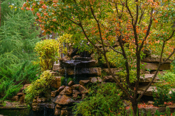 Photo of artificial rock with a waterfall among decorative bushes