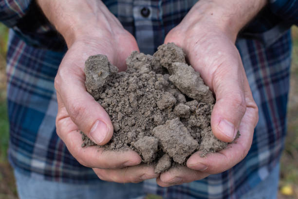 istock Farm hands with fertile soil 1174647942