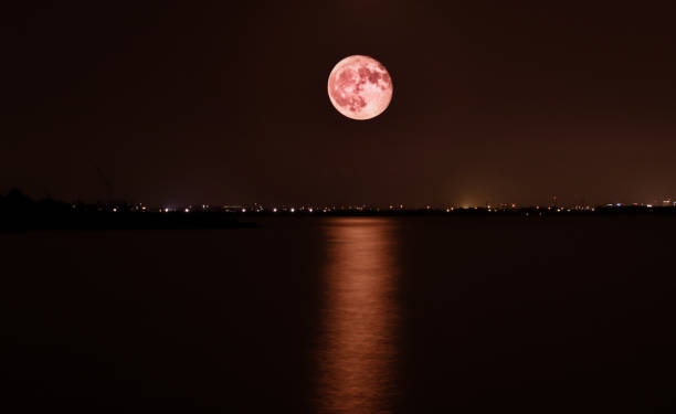 istock full moon over the lake 1174651719