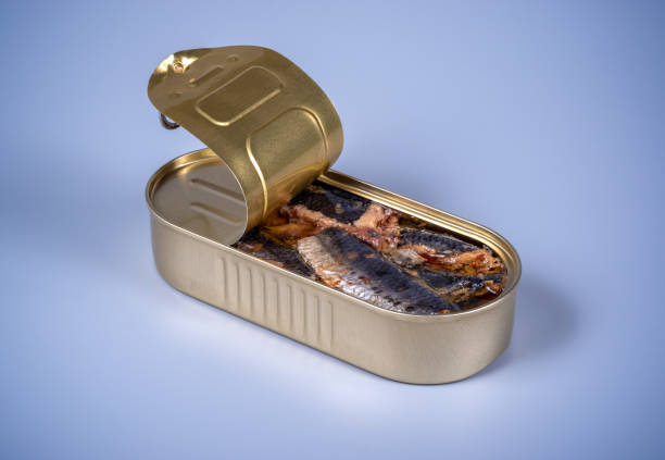 istock Open canned food with smoked herring on a gray background 1174652853