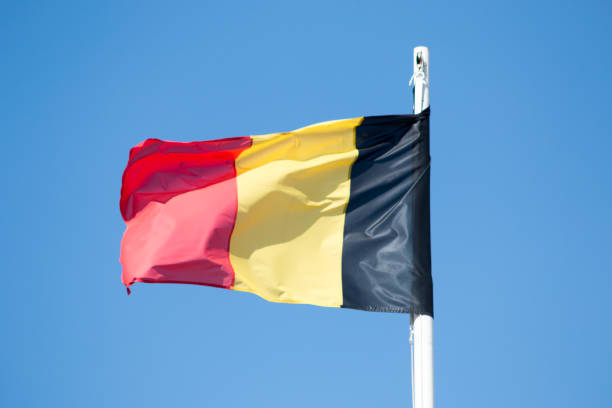 istock Flag of Belgium 1174653987