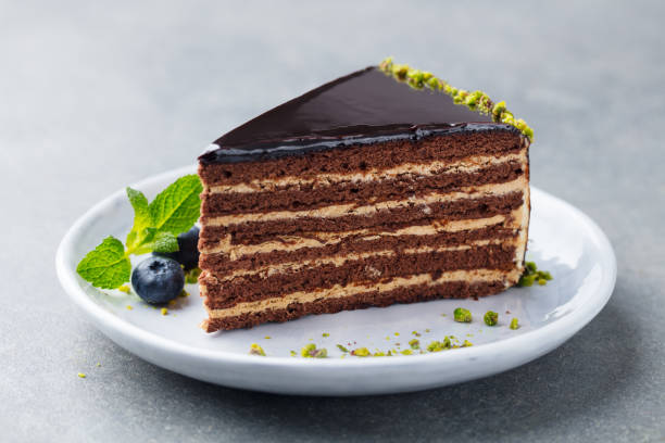 Chocolate cake on a white plate. Grey stone background. Close up.