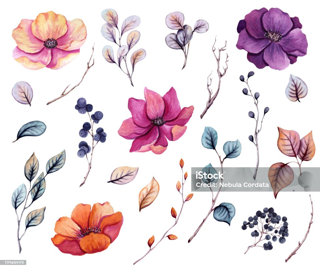 Ilustración de Conjunto De Flores De Otoño De Acuarela y más Vectores  Libres de Derechos de Flor - Flor, Rama - Parte de planta, Botánica - iStock