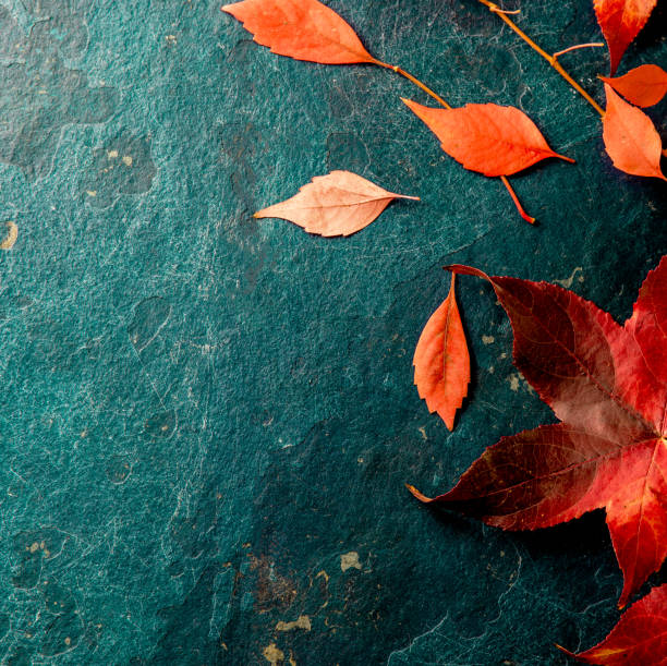 istock Fall red leaves on blue background. Top view 1174654194