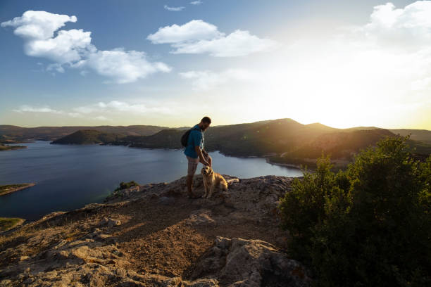 istock Trekking with the dog on mountains 1174656554