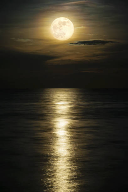istock View at night scene of the sea 1174660771