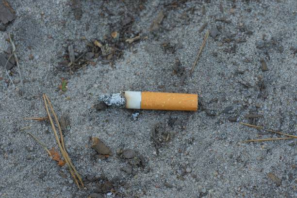 istock cigarette butt with a brown filter lies on gray sand 1174662883