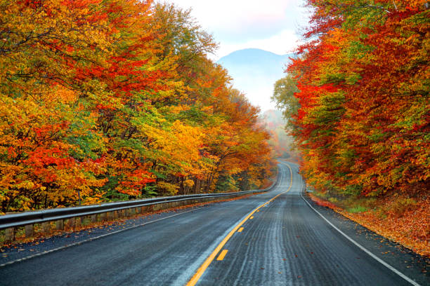 autumn on the kancamagus highway in new hampshire - vibrant color nature october park imagens e fotografias de stock