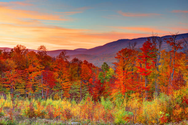istock Autumn in New Hampshire 1174677660