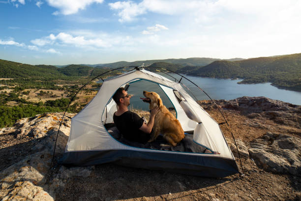 istock Trekking with the dog on mountains 1174681613
