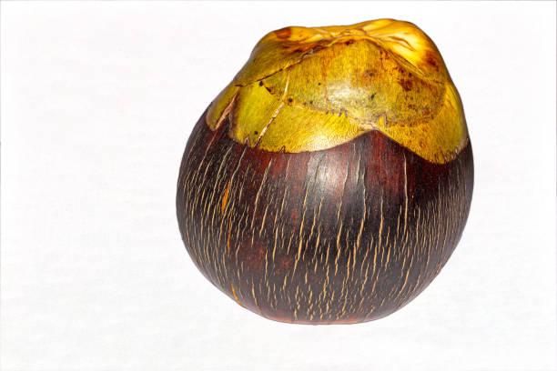 istock Fresh Toddy palm or Asian Palmyra palm fruit on white background 1174682210