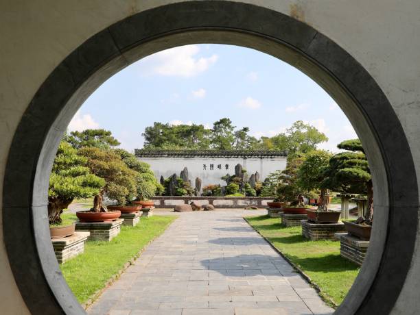istock Garden in the summer time 1174682543