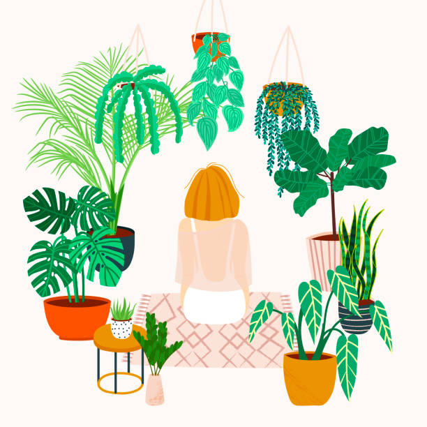 Girl caring for plants. Greenhouse, plants growing in pots. Crazy plant lady. Watering a home garden. Girl meditates on a rug in the interior with potted plants and flowers. Girl resting at home gallus gallus stock illustrations