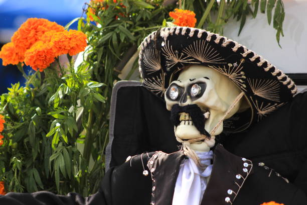 istock Dressed up skeletons at a Day of the Dead display 1174686514