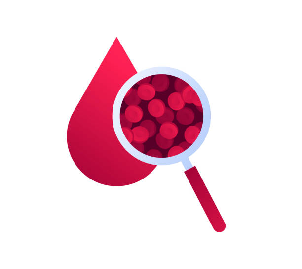 Flat illustration of blood drop and magnifying glass. Vector flat blood laboratory icon illustration. Magnifier glass zoom blood drop cell. Concept of DNA, HIV diagnosis lab. Design element for poster, flyer, card, banner, ui red blood cell stock illustrations