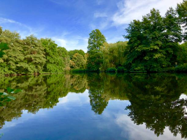 istock Beautiful trees and reflections on the water. 1174688230
