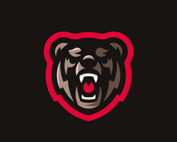 Bear modern logo. Grizzly design emblem template for a sport and eSport team. Bear modern logo. Grizzly design emblem template for a sport and eSport team. bear face stock illustrations