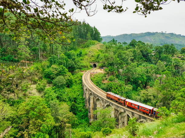 In Ella, tourists can walk on the hill and wait to see a train passing over the nine arch bridge, July 2018