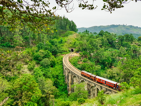 In Ella, tourists can walk on the hill and wait to see a train passing over the nine arch bridge, July 2018