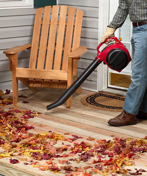 Leaf blower stock photo