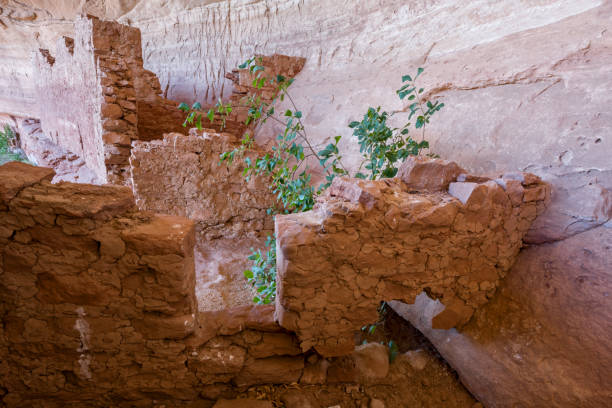 istock Anasazi ruin 1174700716