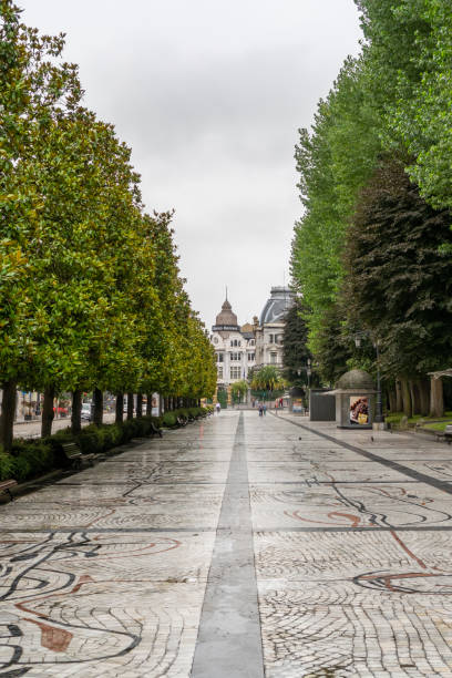 Oviedo, Spain - 15.08.2019 EDITORIAL: Alley Along San Francisco Park. Eucalyptus Alley