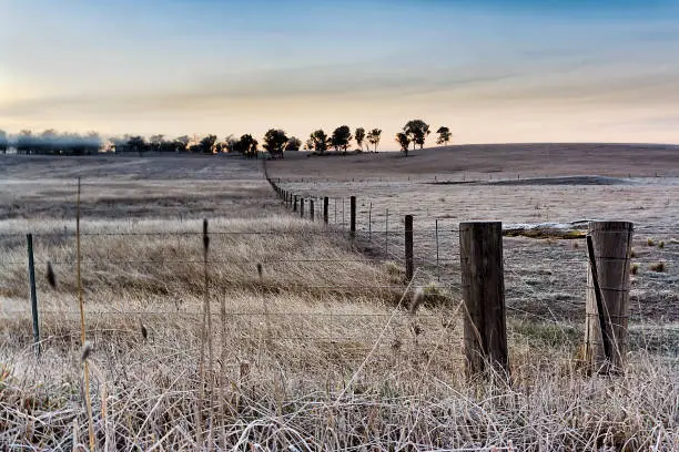 Photo of Agri Winter Fence Frost