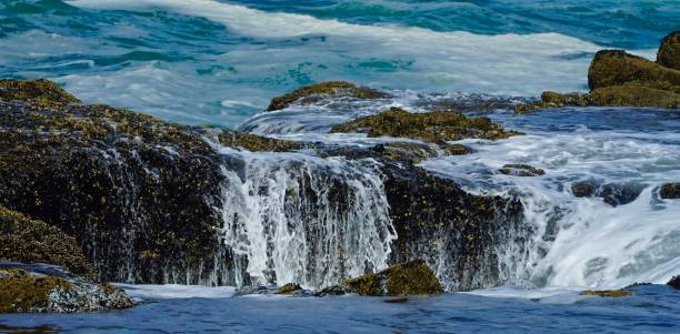 istock Thor's Well In Oregon 1174714591
