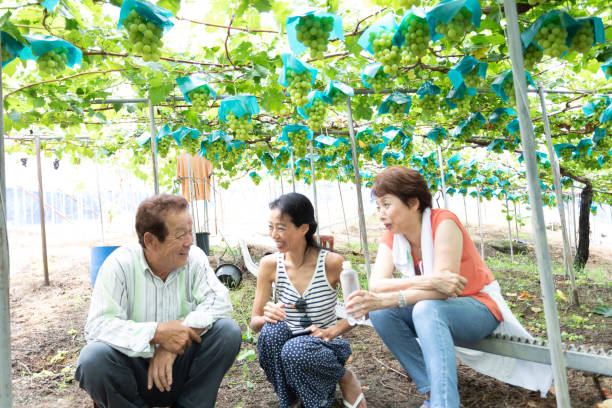istock Japanese family taking a break in vineyard 1174722513