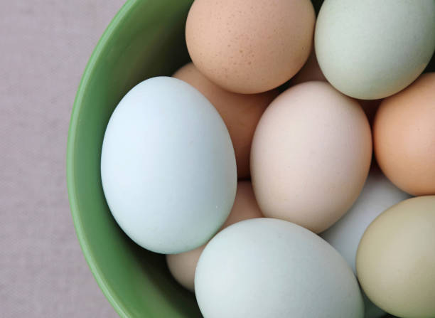 istock Farm fresh organic eggs in many colors 1174725426