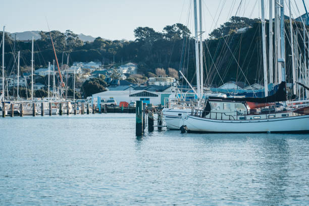 istock Sailboats In Harbour 1174729616