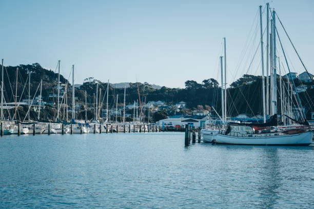 istock Sailboats In Harbour 1174729619