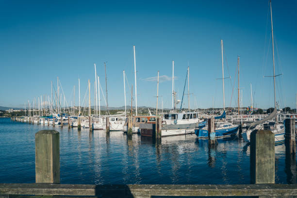 istock Sailboats In Harbour 1174729637