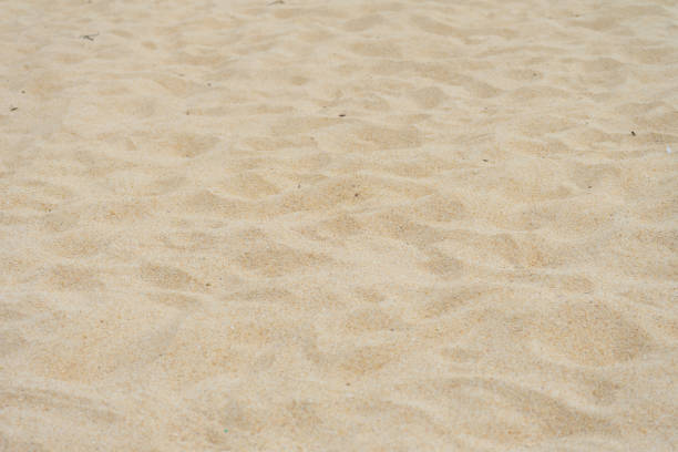 istock Beach sand texture in the summer. 1174731777