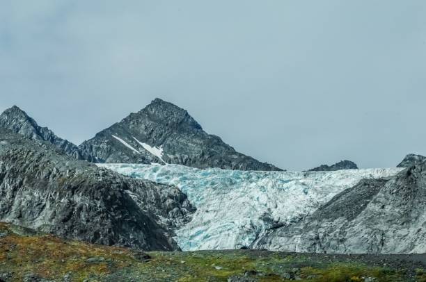 istock Worthington Glacier near Valdez, Alaska 1174735574