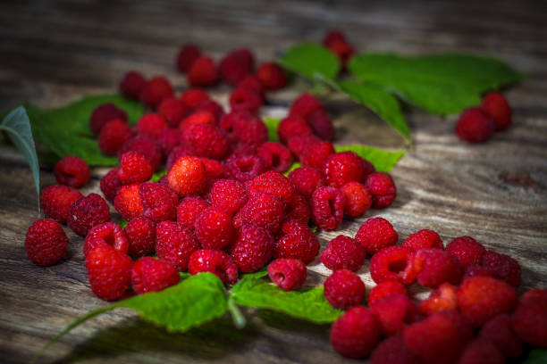 istock Raspberries close up view. Fresh organic fruit. 1174735796