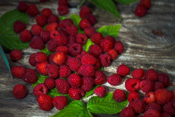istock Raspberries close up view. Fresh organic fruit. 1174735821
