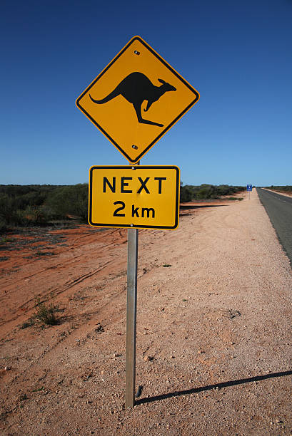 istock Australian Kangaroo Road Sign 117474541