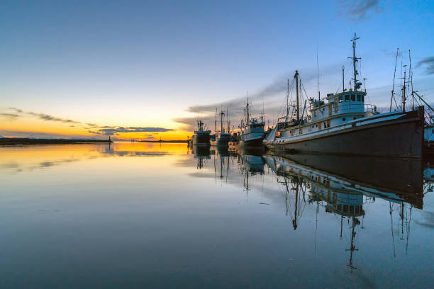 istock Fisherman's Wharf under the sunset 1174752922