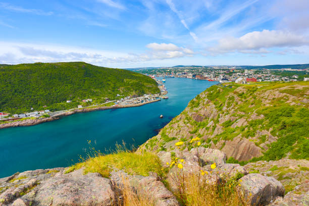 istock St. John's Harbor, Newfoundland and Labrador, Canada 1174753883