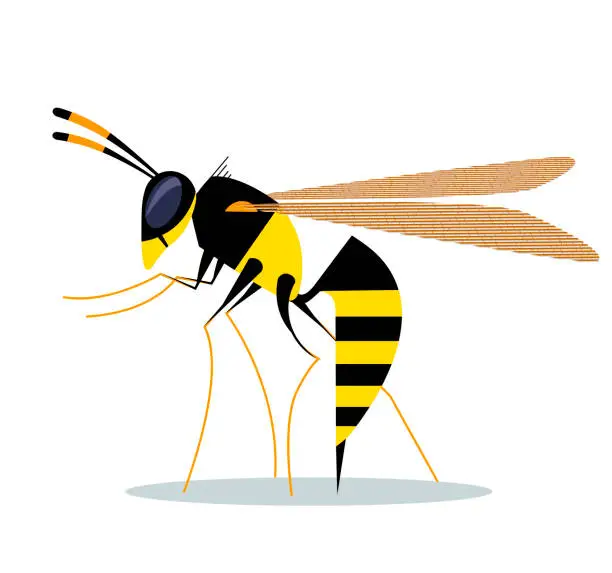 Vector illustration of Biting wasp